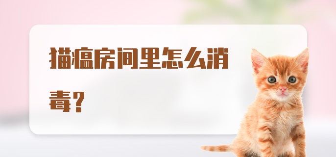 猫瘟房间里怎么消毒?