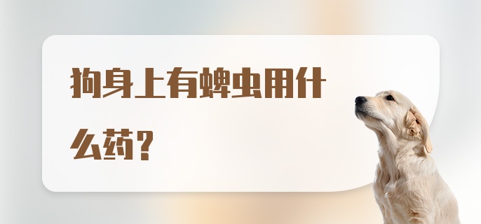 狗身上有蜱虫用什么药？