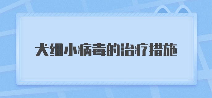 犬细小病毒的治疗措施