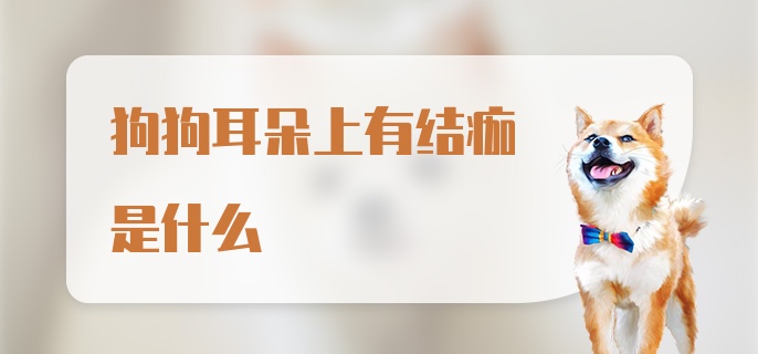 狗狗耳朵上有结痂是什么