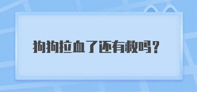 狗狗拉血了还有救吗？