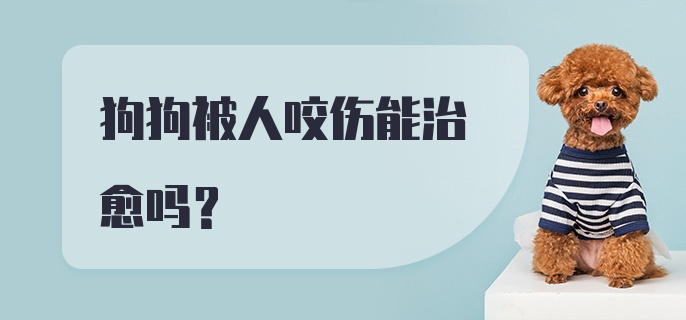 狗狗被人咬伤能治愈吗？