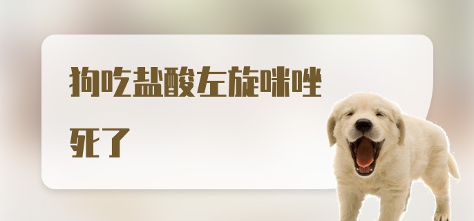 狗吃盐酸左旋咪唑死了