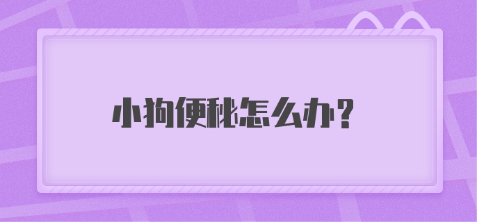 小狗便秘怎么办？