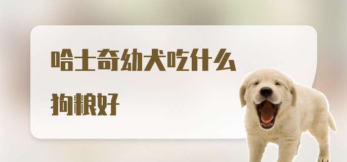 哈士奇幼犬吃什么狗粮好