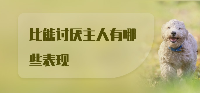 比熊讨厌主人有哪些表现