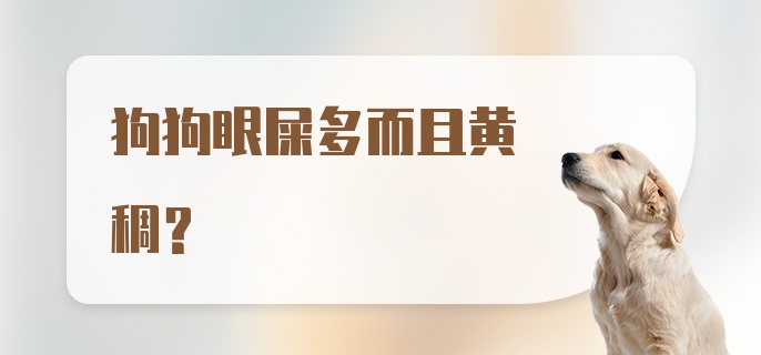 狗狗眼屎多而且黄稠？