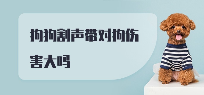 狗狗割声带对狗伤害大吗