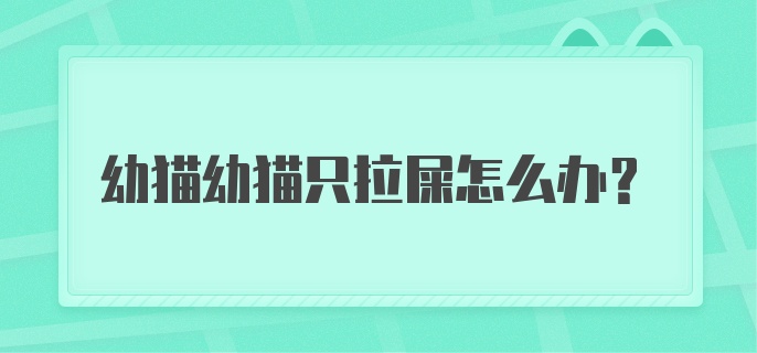 幼猫幼猫只拉屎怎么办？