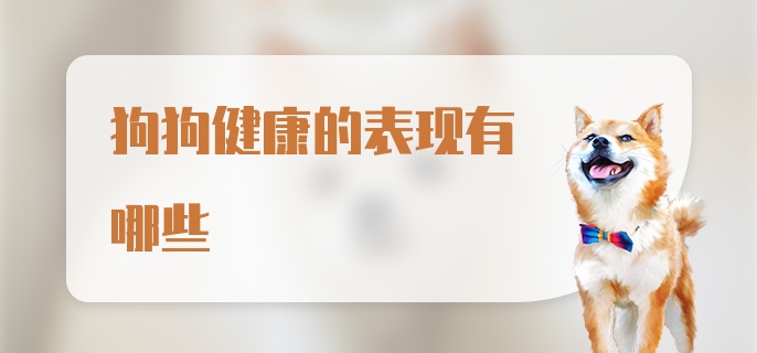 狗狗健康的表现有哪些