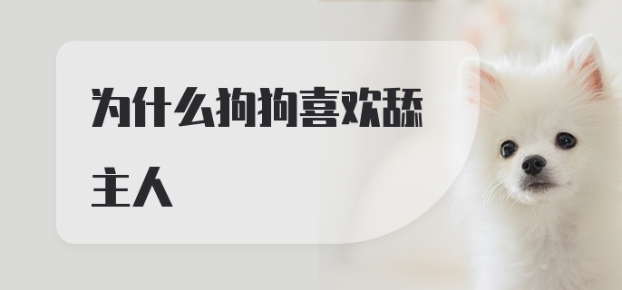 为什么狗狗喜欢舔主人