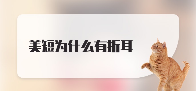 美短为什么有折耳