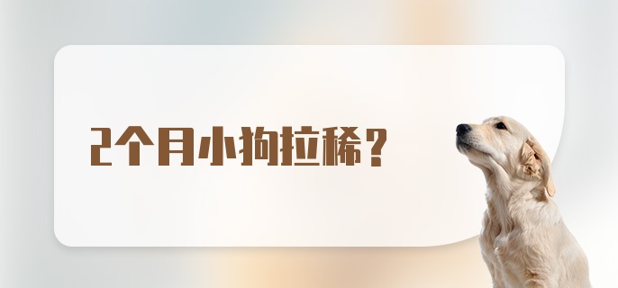 2个月小狗拉稀？