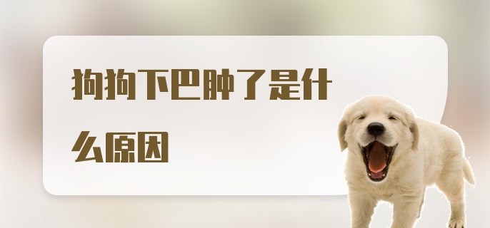 狗狗下巴肿了是什么原因