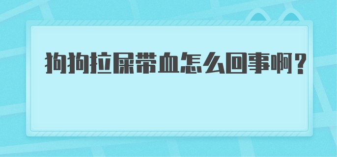 狗狗拉屎带血怎么回事啊?