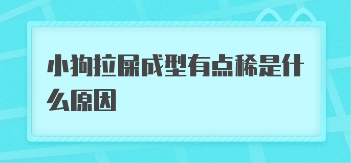 小狗拉屎成型有点稀是什么原因