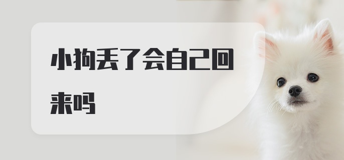 小狗丢了会自己回来吗