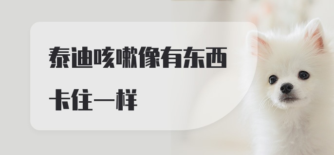 泰迪咳嗽像有东西卡住一样