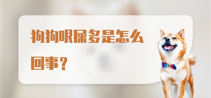 狗狗眼屎多是怎么回事?