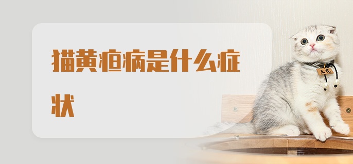 猫黄疸病是什么症状