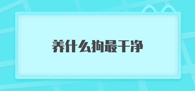 养什么狗最干净