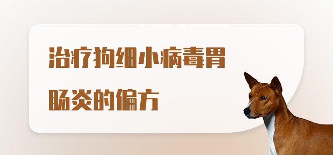 治疗狗细小病毒胃肠炎的偏方