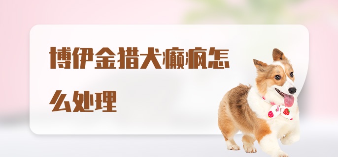 博伊金猎犬癫疯怎么处理