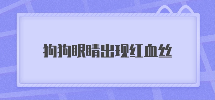 狗狗眼睛出现红血丝