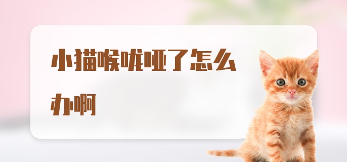 小猫喉咙哑了怎么办啊