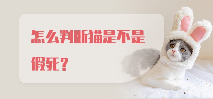 怎么判断猫是不是假死？