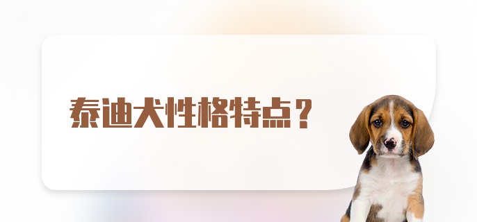 泰迪犬性格特点？