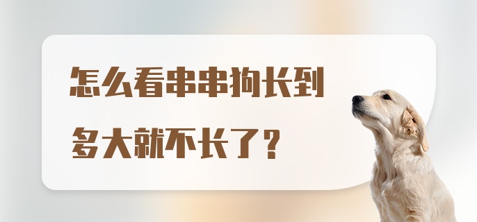 怎么看串串狗长到多大就不长了?