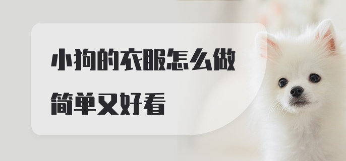 小狗的衣服怎么做简单又好看