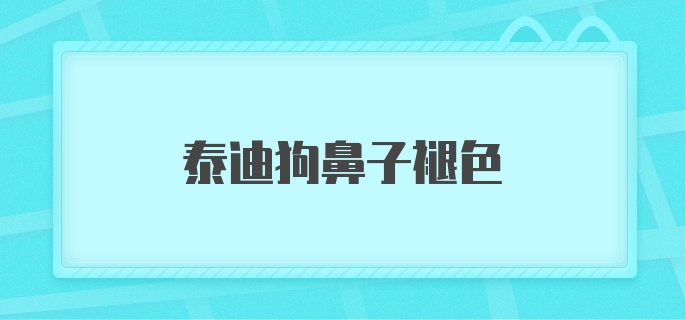 泰迪狗鼻子褪色