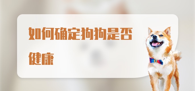 如何确定狗狗是否健康