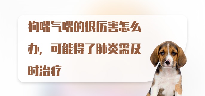 狗喘气喘的很厉害怎么办，可能得了肺炎需及时治疗