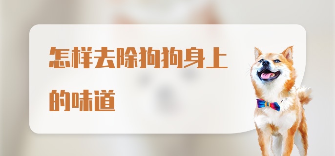 怎样去除狗狗身上的味道