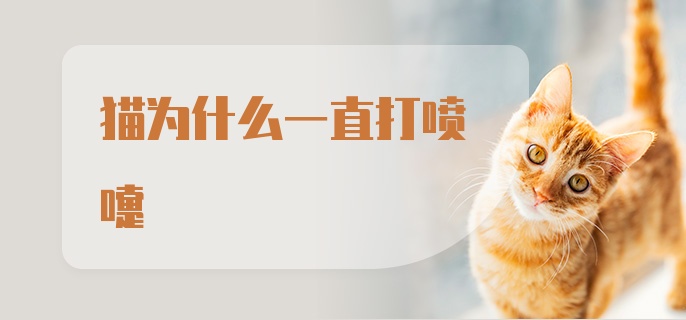 猫为什么一直打喷嚏