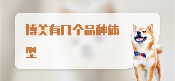 博美有几个品种体型