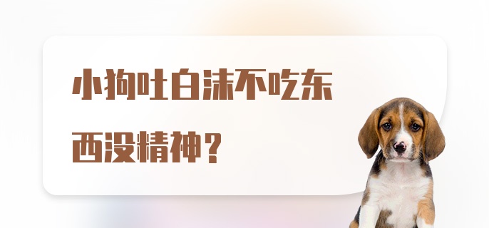 小狗吐白沫不吃东西没精神？