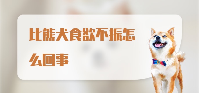 比熊犬食欲不振怎么回事