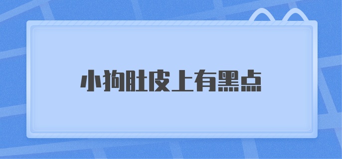 小狗肚皮上有黑点