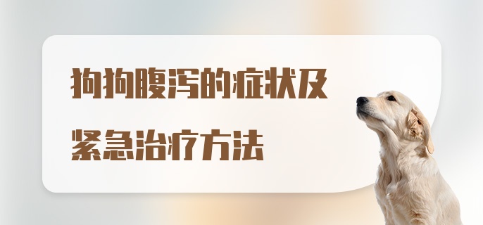 狗狗腹泻的症状及紧急治疗方法