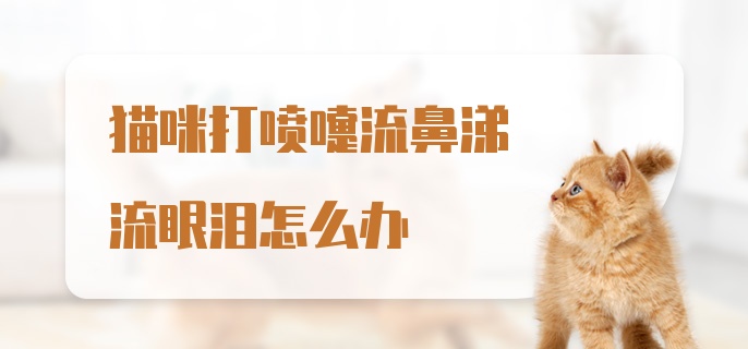 猫咪打喷嚏流鼻涕流眼泪怎么办