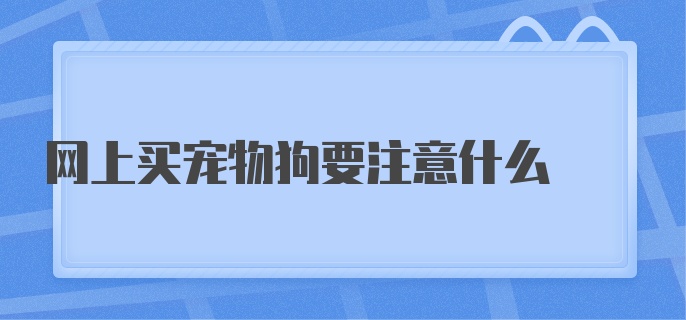 网上买宠物狗要注意什么	
