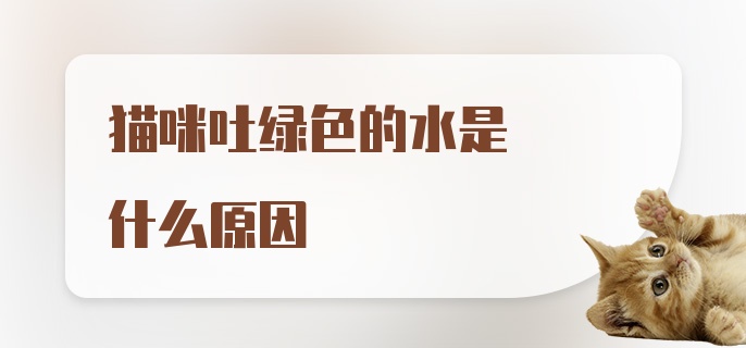 猫咪吐绿色的水是什么原因