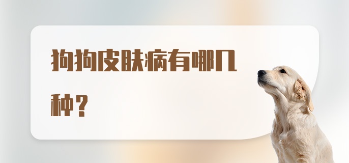 狗狗皮肤病有哪几种？