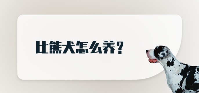 比熊犬怎么养？