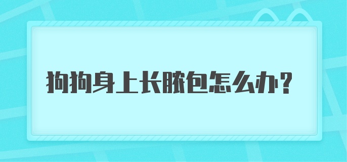 狗狗身上长脓包怎么办？