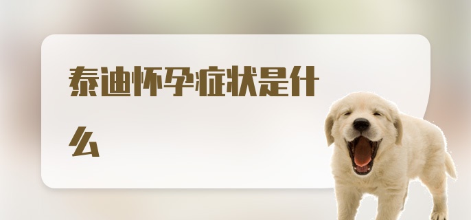 泰迪怀孕症状是什么